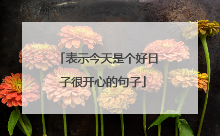 表示今天是个好日子很开心的句子