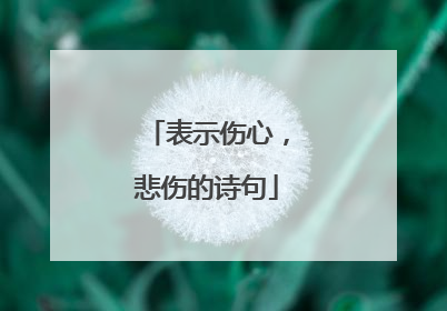 表示伤心，悲伤的诗句