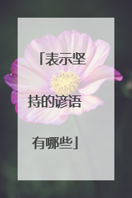 表示坚持的谚语有哪些