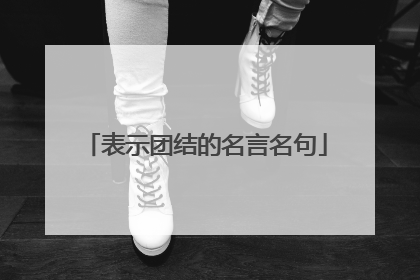 表示团结的名言名句