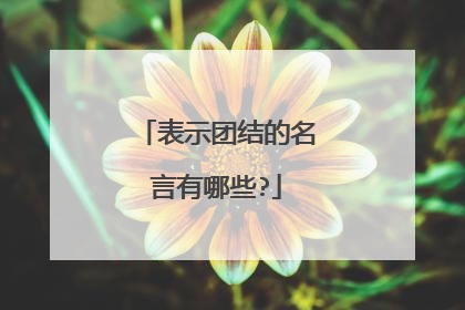 表示团结的名言有哪些?