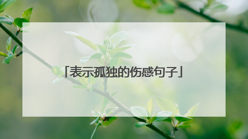 表示孤独的伤感句子