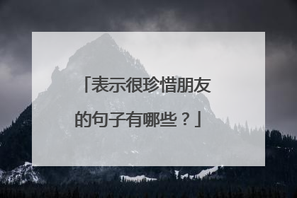 表示很珍惜朋友的句子有哪些？