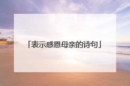 表示感恩母亲的诗句