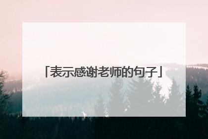 表示感谢老师的句子
