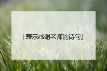 表示感谢老师的诗句