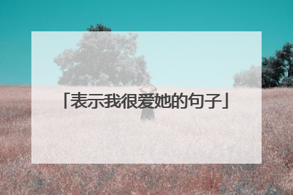 表示我很爱她的句子