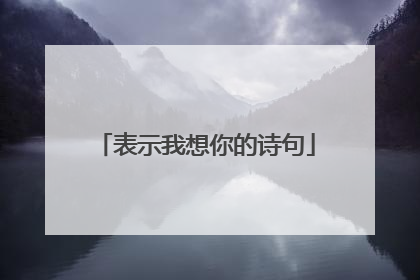 表示我想你的诗句