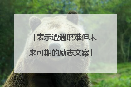 表示遭遇磨难但未来可期的励志文案