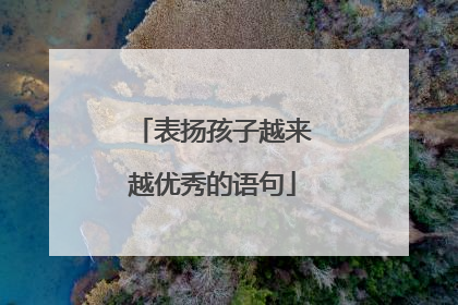 表扬孩子越来越优秀的语句