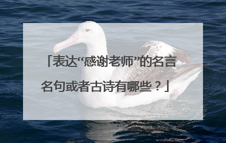 表达“感谢老师”的名言名句或者古诗有哪些？