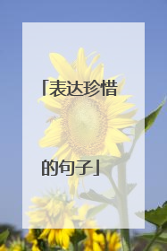 表达珍惜的句子