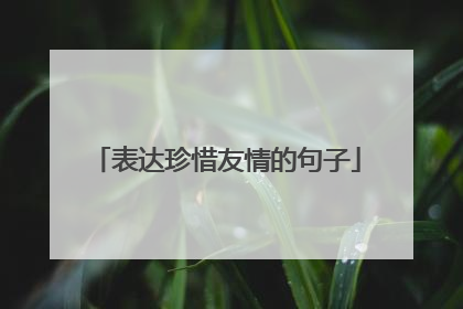 表达珍惜友情的句子