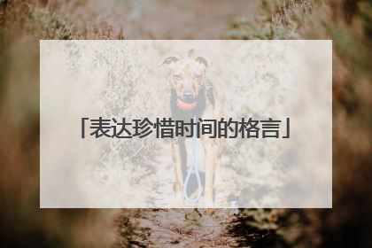 表达珍惜时间的格言