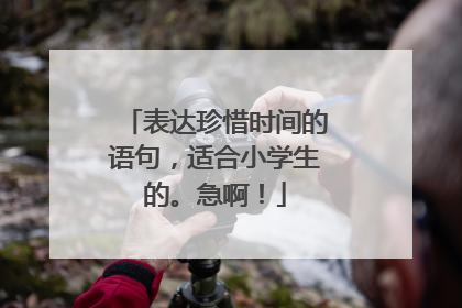 表达珍惜时间的语句，适合小学生的。急啊！