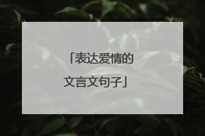 表达爱情的文言文句子