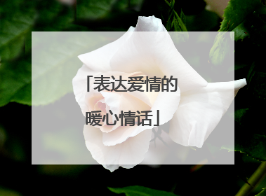 表达爱情的暖心情话