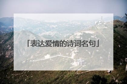 表达爱情的诗词名句