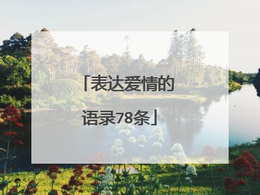 表达爱情的语录78条