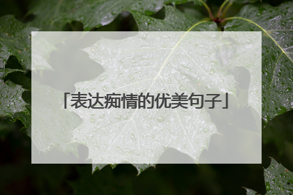 表达痴情的优美句子
