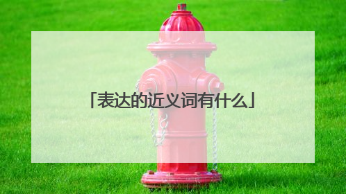 表达的近义词有什么