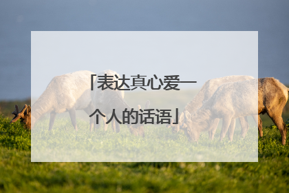 表达真心爱一个人的话语