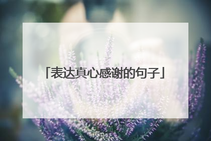 表达真心感谢的句子