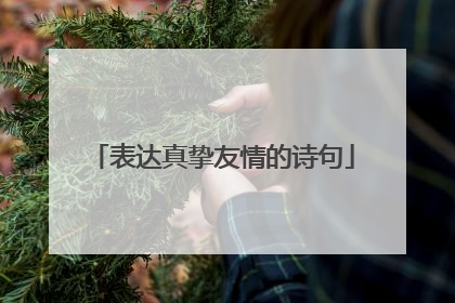 表达真挚友情的诗句