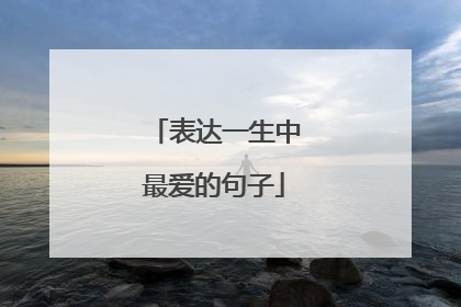 表达一生中最爱的句子