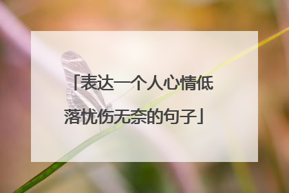 表达一个人心情低落忧伤无奈的句子