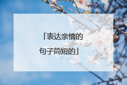 表达亲情的句子简短的