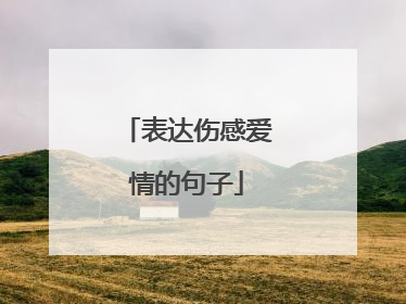 表达伤感爱情的句子