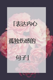 表达内心孤独伤感的句子