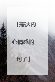 表达内心情感的句子