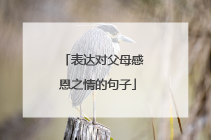 表达对父母感恩之情的句子