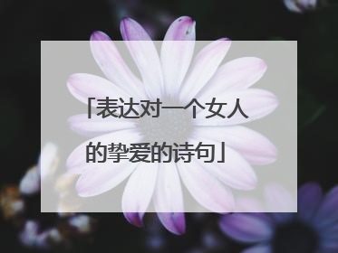 表达对一个女人的挚爱的诗句