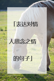 表达对情人思念之情的句子
