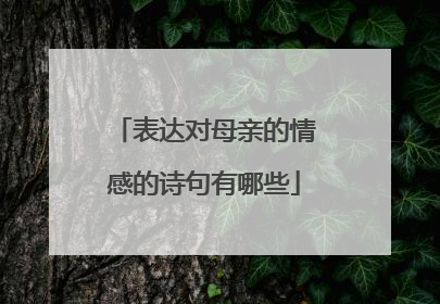 表达对母亲的情感的诗句有哪些