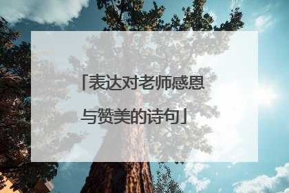 表达对老师感恩与赞美的诗句