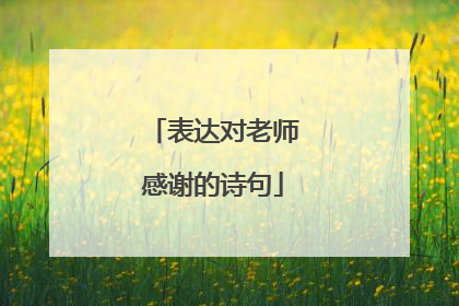 表达对老师感谢的诗句