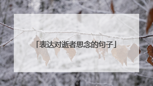 表达对逝者思念的句子