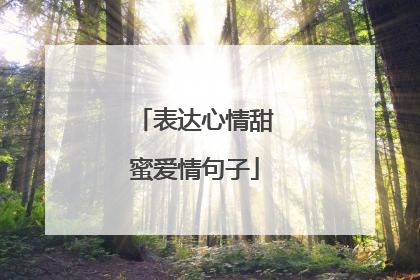 表达心情甜蜜爱情句子