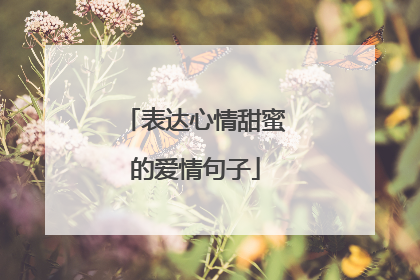 表达心情甜蜜的爱情句子