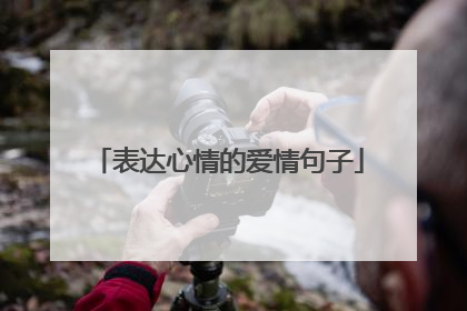 表达心情的爱情句子