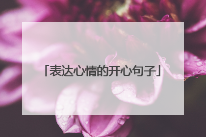 表达心情的开心句子