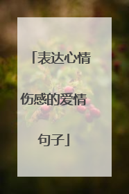 表达心情伤感的爱情句子