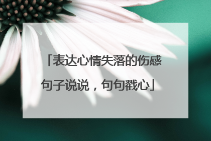 表达心情失落的伤感句子说说，句句戳心