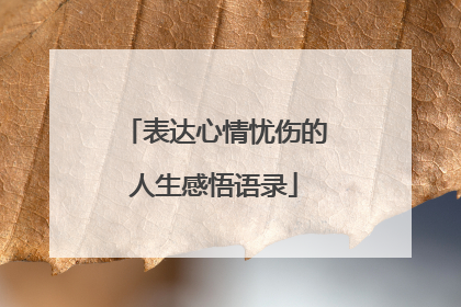 表达心情忧伤的人生感悟语录