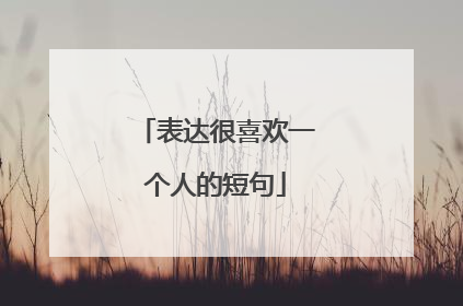 表达很喜欢一个人的短句