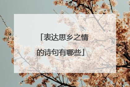 表达思乡之情的诗句有哪些